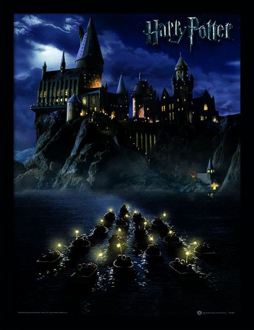 Harry Potter (Hogwarts School) Framed 30 x 40cm Print